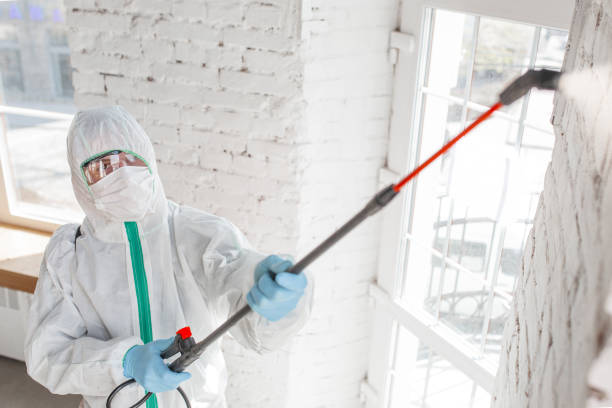 Best Mold-Related Health Consultation  in Parkwood, CA