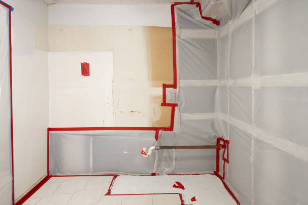 Best Mold Documentation for Insurance Claims  in Parkwood, CA