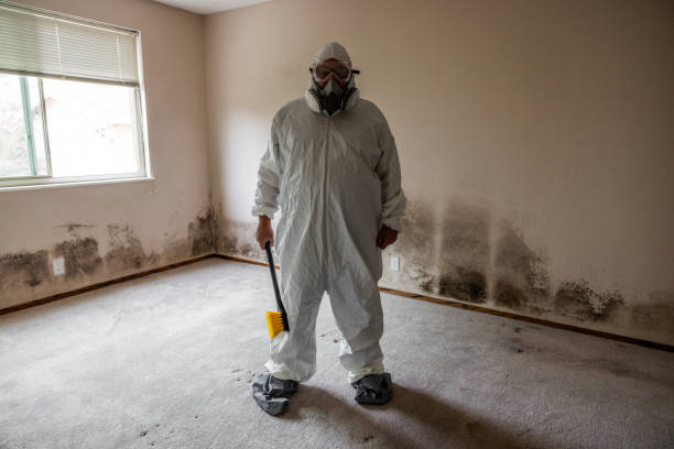 Best Post-Remediation Verification Testing  in Parkwood, CA